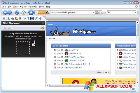Снимак заслона Flock Windows XP