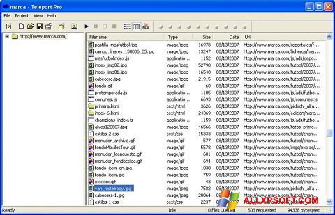 Снимак заслона Teleport Pro Windows XP