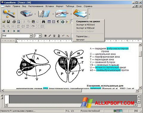 Снимак заслона CuneiForm Windows XP