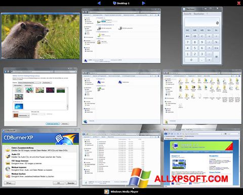Снимак заслона Dexpot Windows XP
