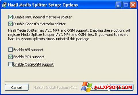 Снимак заслона Haali Media Splitter Windows XP