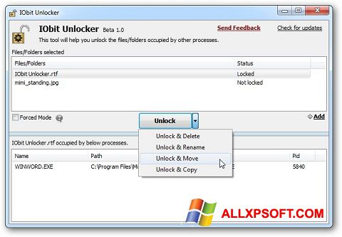 Снимак заслона IObit Unlocker Windows XP