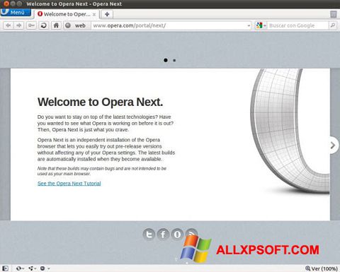 Снимак заслона Opera Developer Windows XP